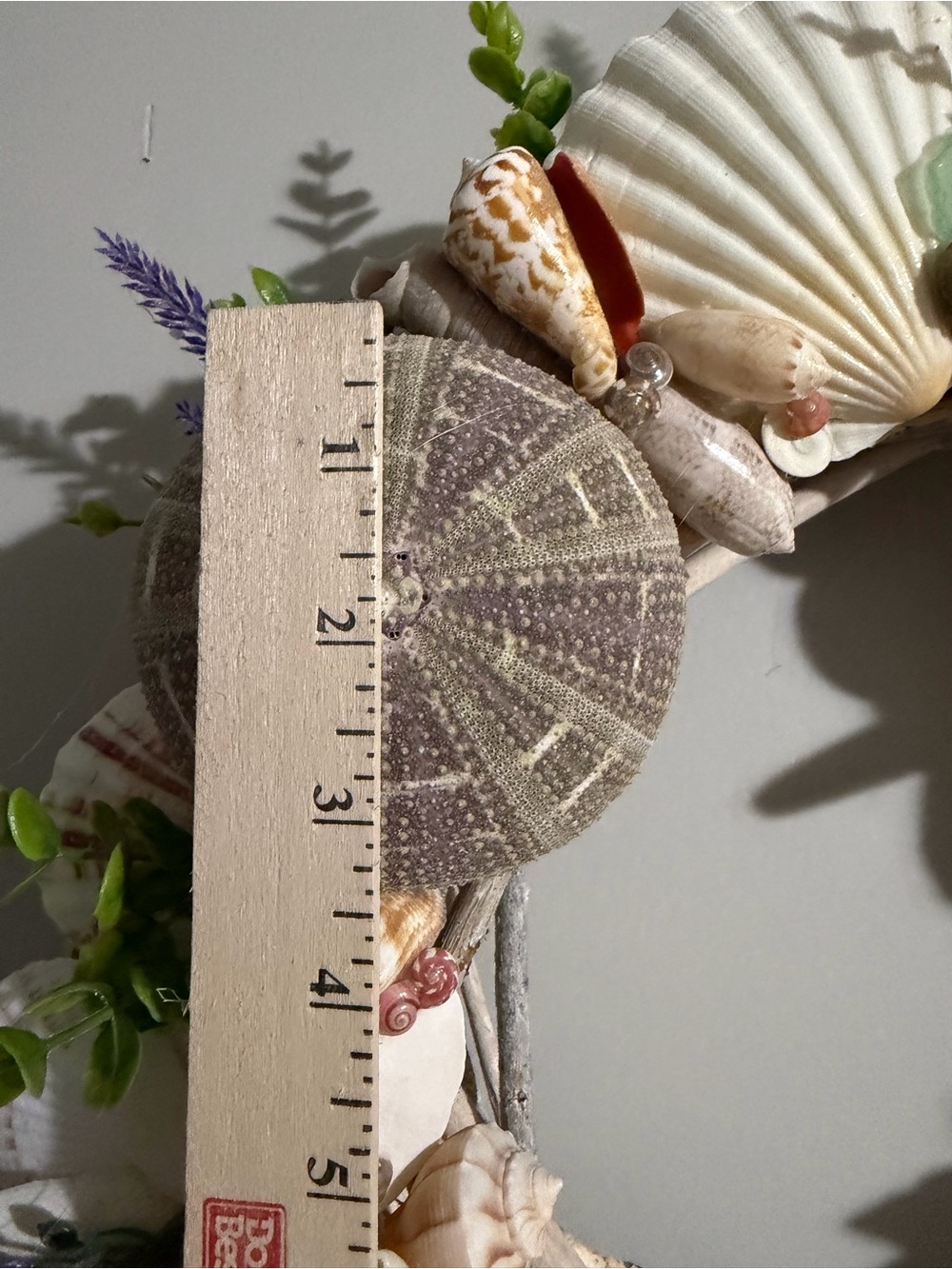 SeaShell Wreath | Coastal Decor | Beach Cottage | Handcrafted - Picture 12 of 15